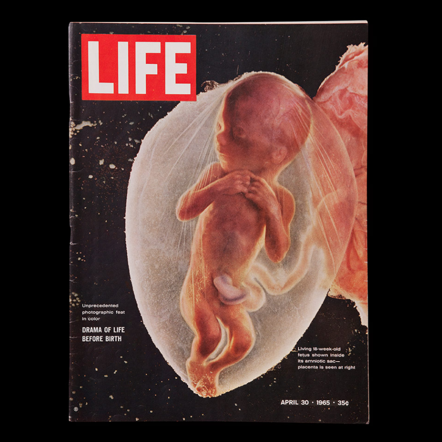 Fotomenschen cover art